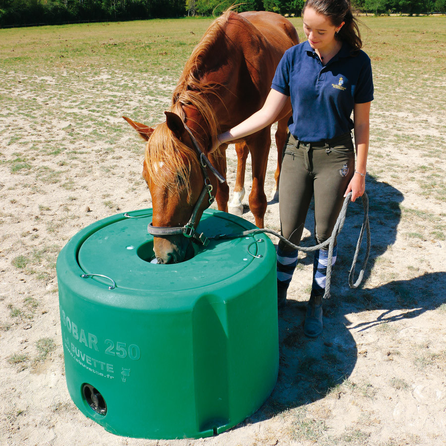 Bac isotherme pour cheval ISOBAR 250 canicule