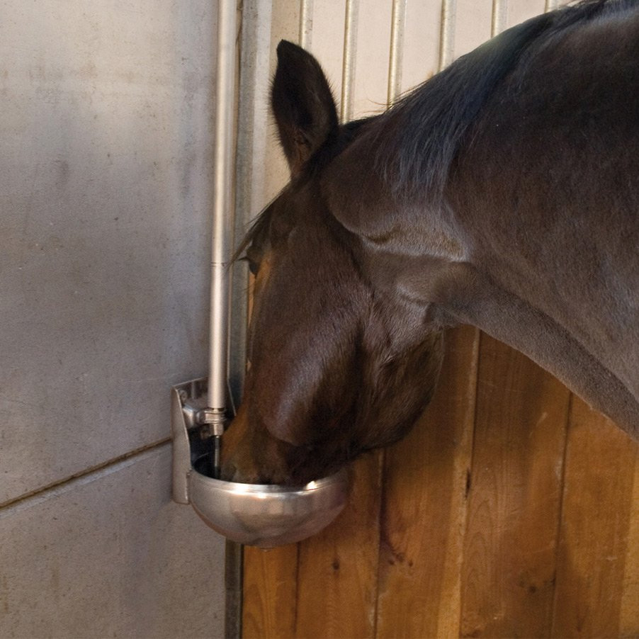F110 INOX Abreuvoir chevaux